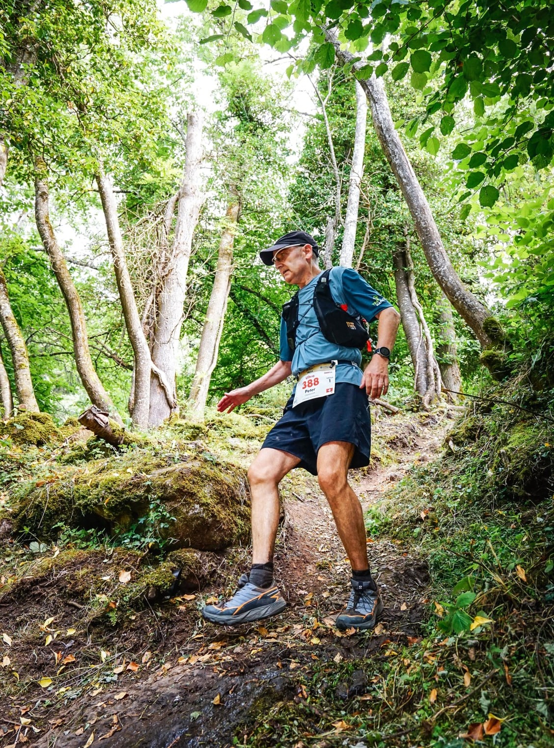 Mobirise Website Builder